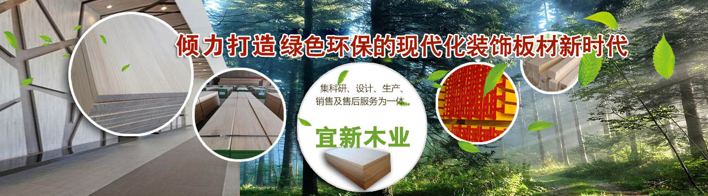 山東岱東人力資源管理有限公司 